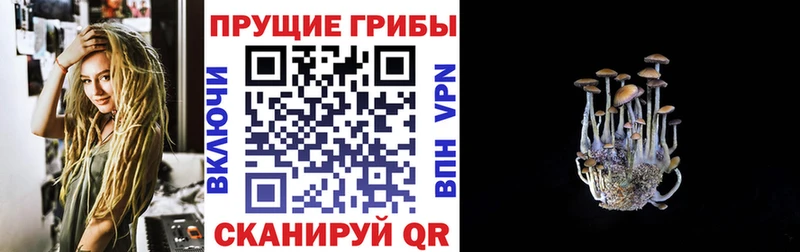 Галлюциногенные грибы GOLDEN TEACHER  Новая Ладога 